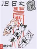 旧日之箓TXT全本