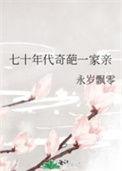 七十年代家庭电视剧