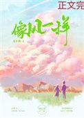 像风一样 周华健