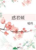 惑君倾讲的什么