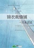 锦衣裁缝铺有男主吗