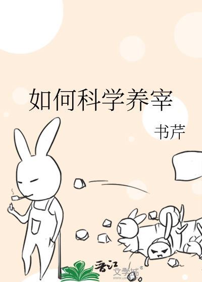 如何科学饲养猫