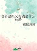 老公温柔又有钱是什么体验作者锅包漏漏