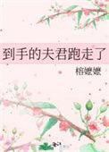 到手的夫君跑了全文免费阅读