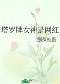 塔罗牌女主