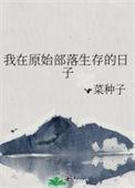 我在原始部落的日子