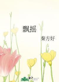 飘摇 歌词