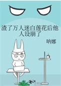 渣那个万人迷