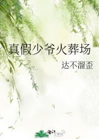 真假少爷 txt