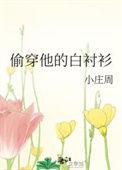 偷穿他的白衬衫txt