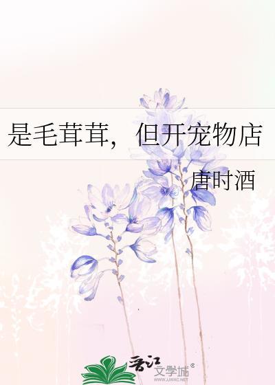 毛绒宠物美容店