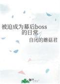 被迫成为幕后boss的日常类似文