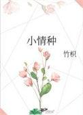 小情种番外作者竹枳