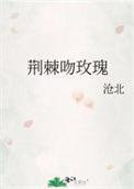 荆棘吻玫瑰 沧北