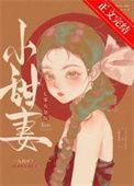 七零大杂院小甜妻晋江