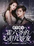 重生暖婚霍总狠宠小甜妻