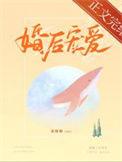 婚后很宠的推荐