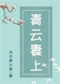 青云妻上最新章节免费阅读