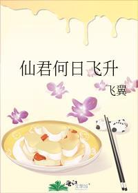 仙君何日飞升 作者飞翼