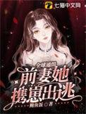 全球通缉总裁的落跑前妻