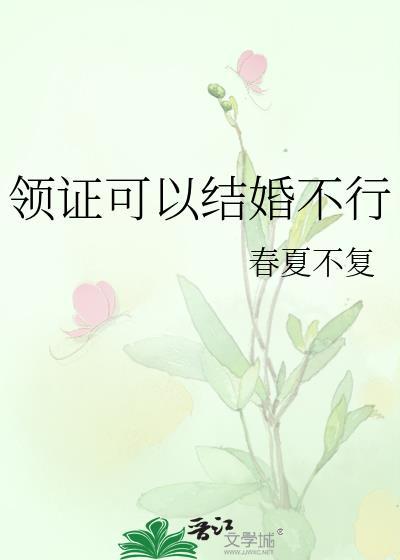 领证可以结婚不行by北途川全文免费阅读笔趣阁