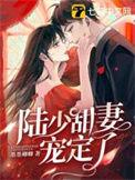 陆少甜妻免费阅读