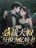 总裁大叔夜夜撩