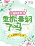 小寡妇的意思