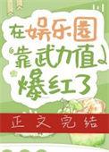 我 靠武力秀翻娱乐圈