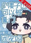 小傻子简介
