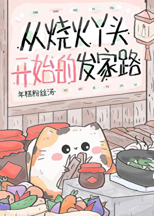 从烧火丫头开始的发家路百度