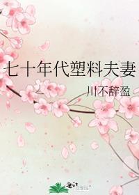七十年代塑料夫妻免费阅读番外