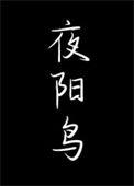 夜阳鸟by余珊珊讲的是啥