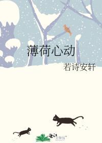 薄荷是哪个里的