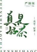 真是好茶by严颂颂百度