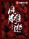 风月难逃丁岚