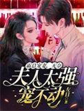 霸宠总裁夫人免费阅读