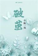破茧的歌词