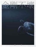 网游之金刚不坏