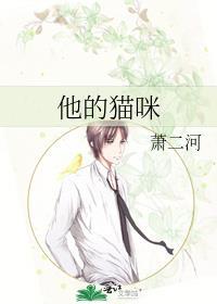 他的猫咪免费阅读全文
