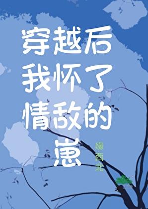 我怀了情敌的小崽子[ab0