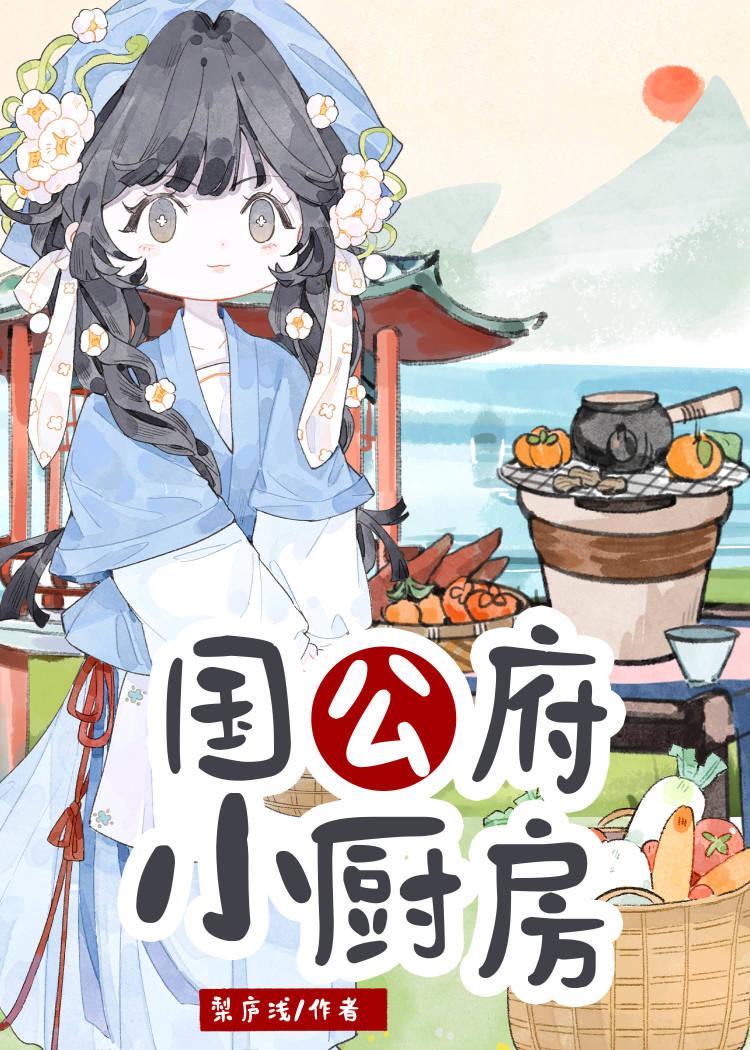 国公府什么意思