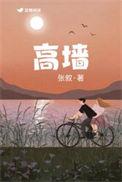 高墙边的混乱第二季有几集