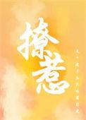 撩夫是什么意思
