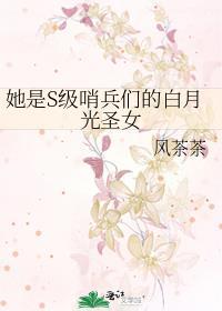 她是S级哨兵们的白月光圣女 作者风