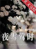 女主角夜雪