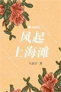 风起上海滩释小龙