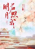 明月应照我诗句