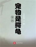 我的宠物是鳄龟英文