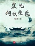 皇兄何故 起点